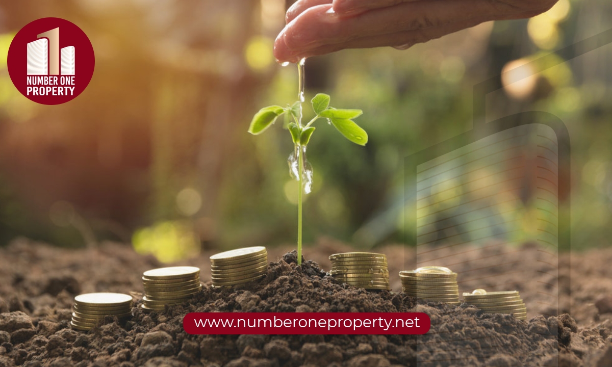 الاستثمار الزراعي في تركيا