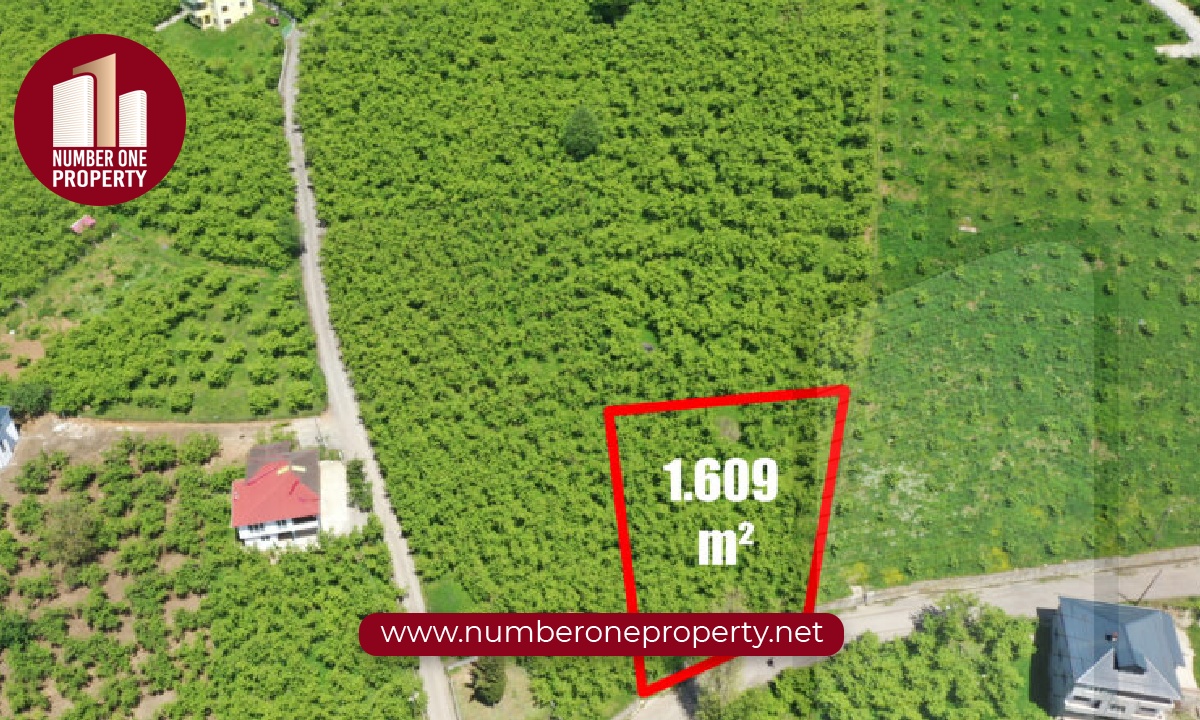 شراء الأراضي في إسطنبول: دليل شامل للمستثمرين الأجانب