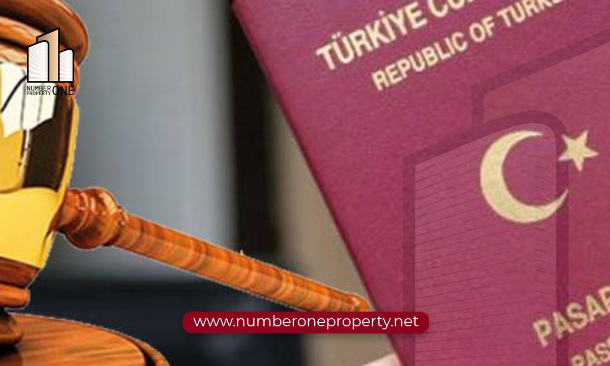 قانون التجنيس في تركيا: الدليل الشامل