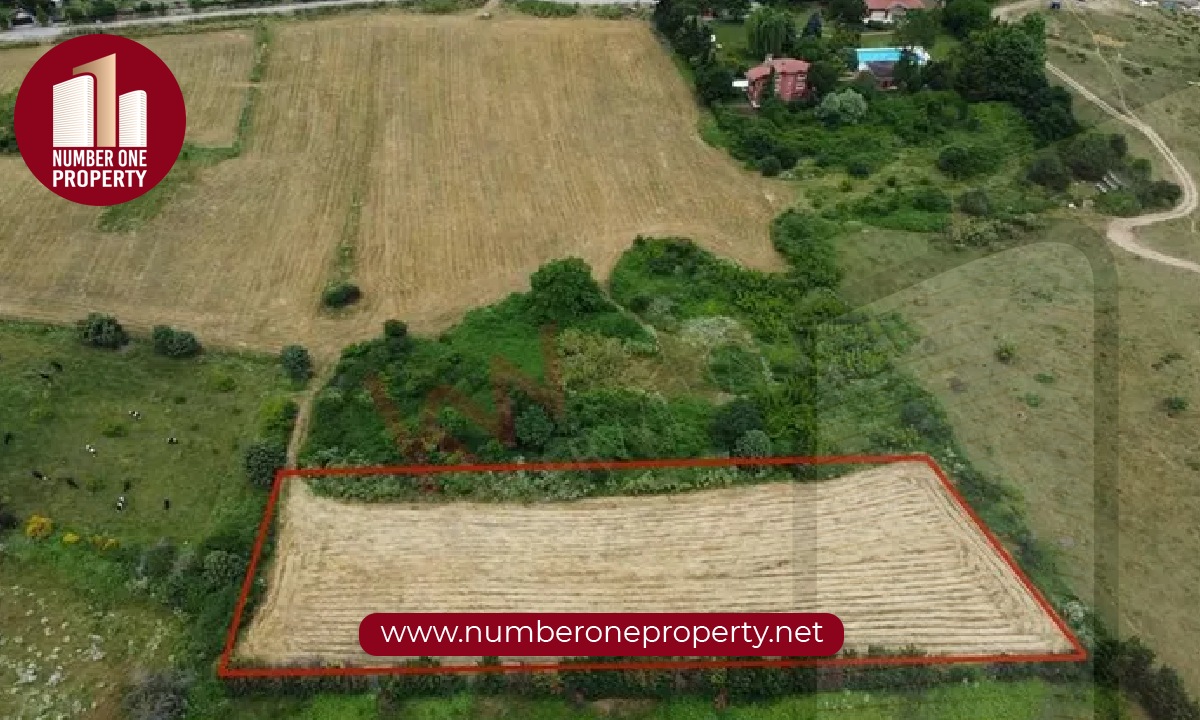 أهمية استثمار الأراضي في تركيا: دليل شامل للمستثمرين