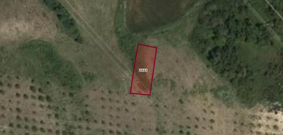 ارض مستقلة  في  سازلي بوسنا -  ارناؤوط كوي