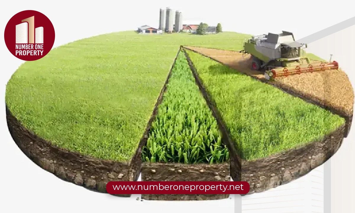 مزايا استثمارية لا تُفوّت في أراضي أرناؤوط كوي: دليلك الشامل للمستقبل العقاري