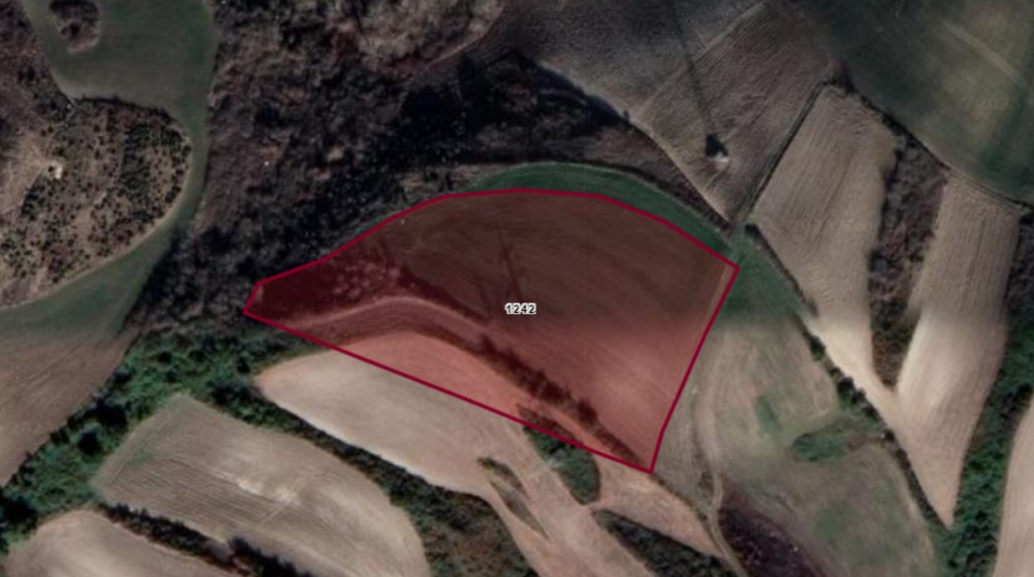 Land in Arnavutkoy – Sazlıbosna