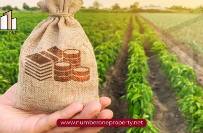 الاستثمار في الأراضي في اسطنبول : الدليل المساعد