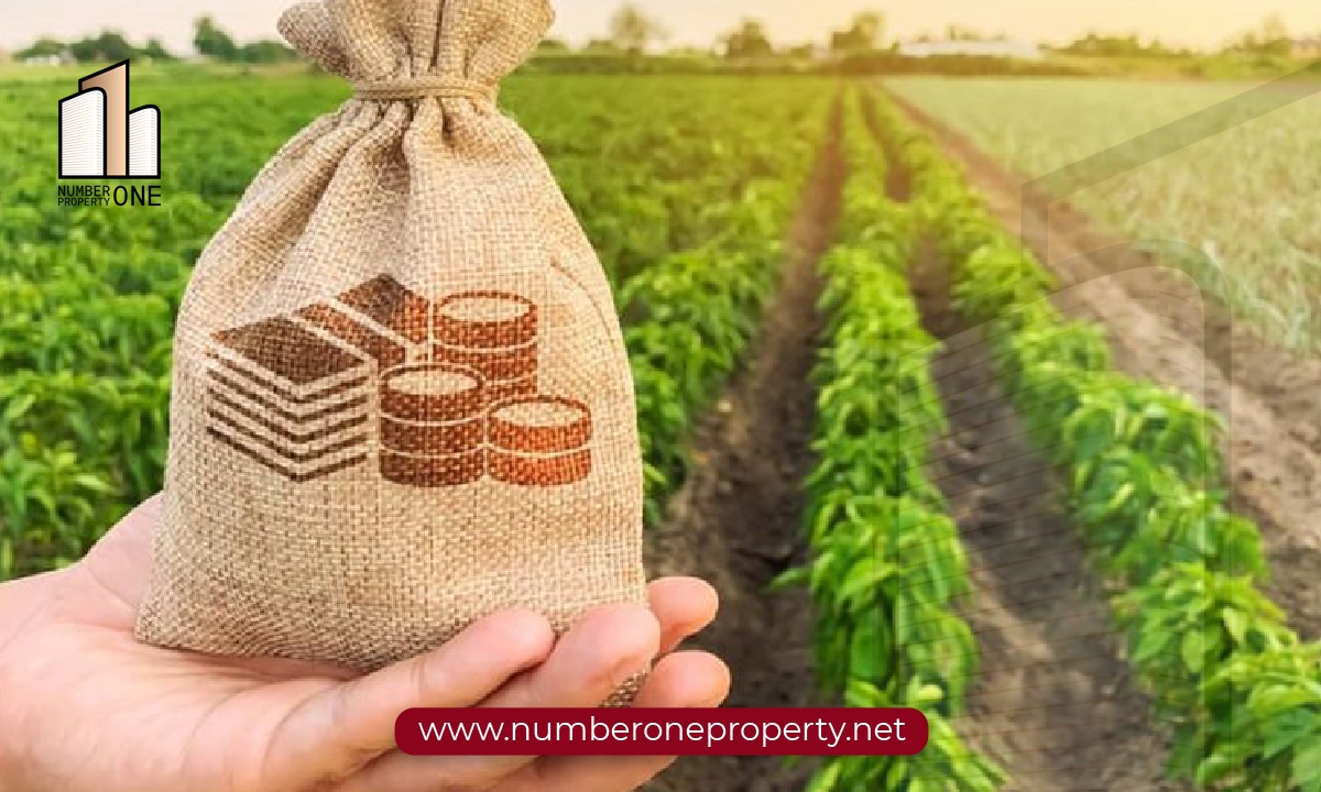 الاستثمار في الأراضي في اسطنبول : الدليل المساعد