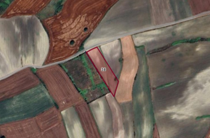 أرض في سازلي بوسنا للبيع