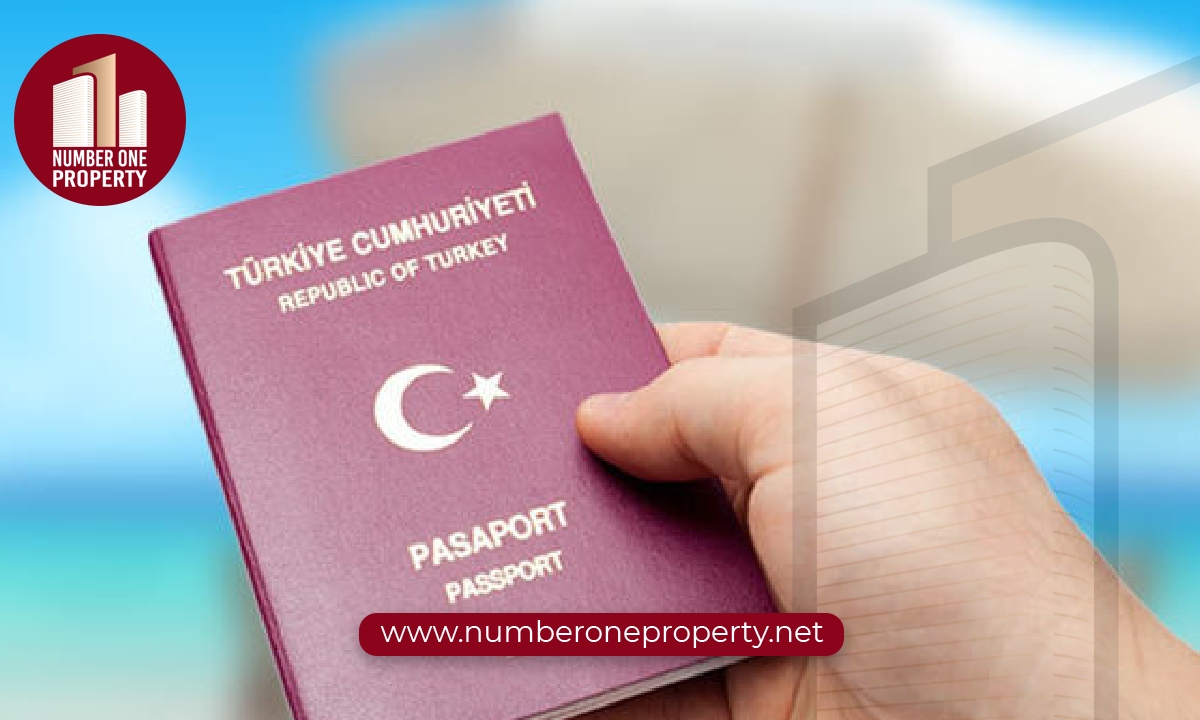 آلية الحصول على الجنسية التركية