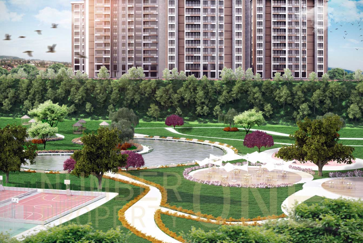 مشروع باشاك شهير الجديد