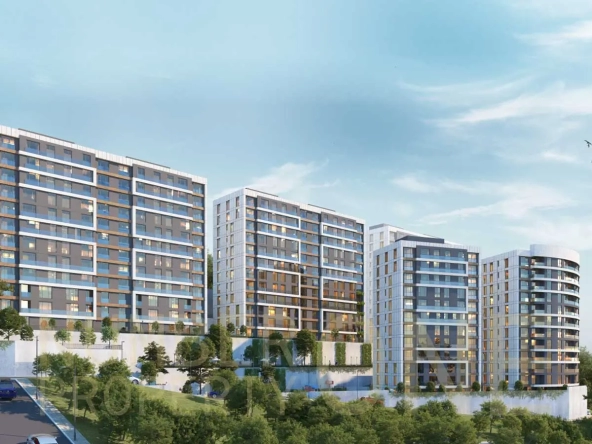 منازل أيوب الحديثة