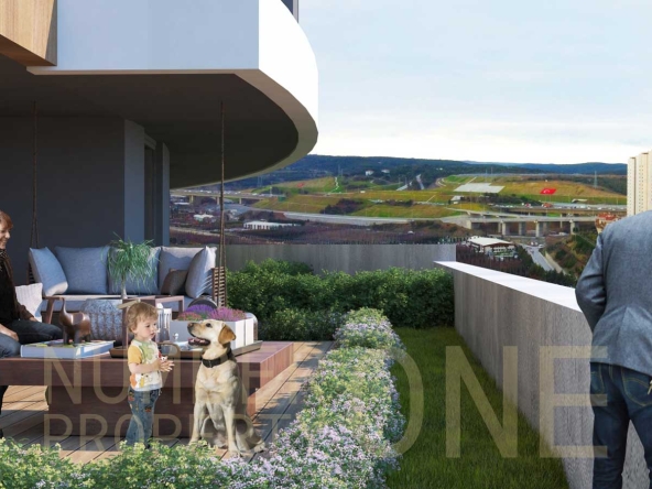 منازل أيوب الحديثة