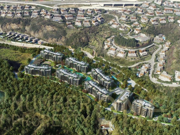 مشروع بجميع درجات اللون الأخضر