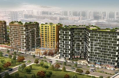 رويال ريزيدانس