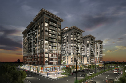 مشروع جديد في زيتين بورنو