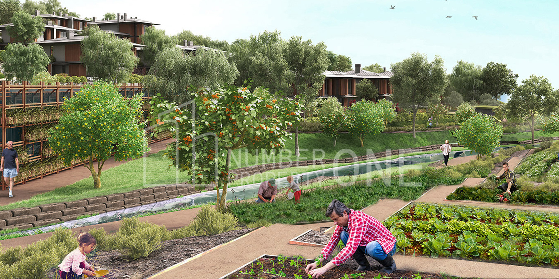 فلل فاخرة قرب البحر الاسود