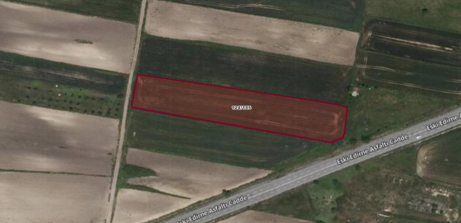 أرض حصة في دورسون كوي