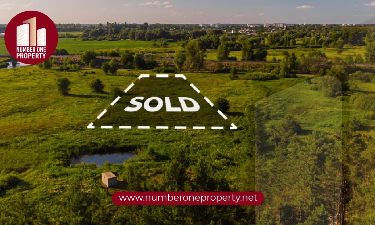 عملية شراء الأراضي في تركيا خطوة بخطوة: الدليل الشامل للمستثمرين الأجانب