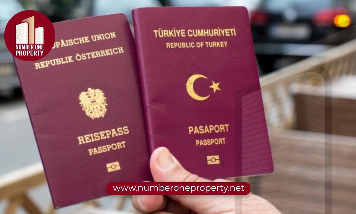 طرق الحصول على الجنسية التركية