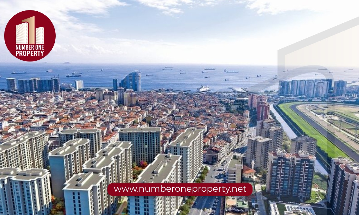 زيتون بورنو في اسطنبول